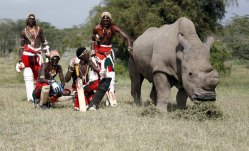 Members of the Maasai Cricket Warriors pose for a photohraph with the last surviving male northern white rhino named 'Sudan' after playing against the British Army Training Unit at the Ol Pejeta Conservancy in Laikipia national park, Kenya