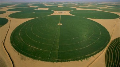 Landwirtschaft in der Wüste Saudi Arabiens..